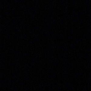 Meet your Posher, Laila